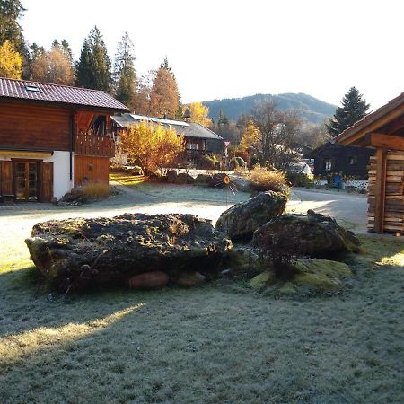Huettenzauber Ferienwohnung Mitten Im Nationalpark Lindberg Exteriör bild
