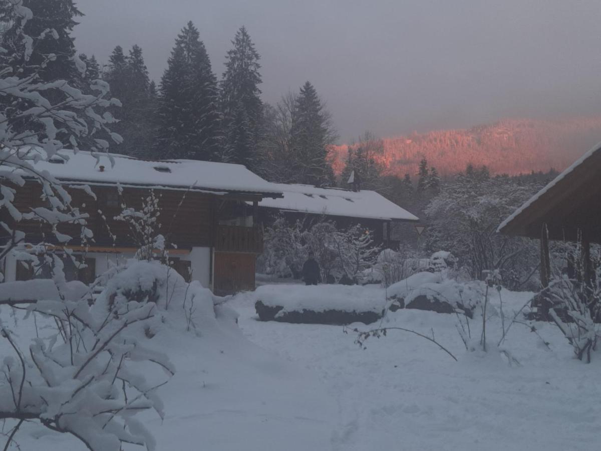 Huettenzauber Ferienwohnung Mitten Im Nationalpark Lindberg Exteriör bild