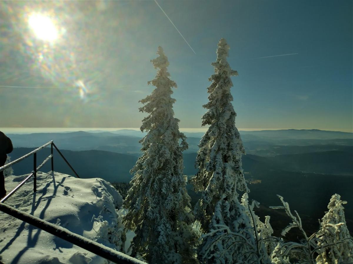 Huettenzauber Ferienwohnung Mitten Im Nationalpark Lindberg Exteriör bild
