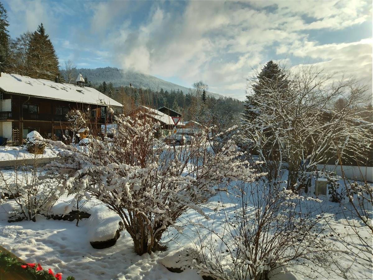 Huettenzauber Ferienwohnung Mitten Im Nationalpark Lindberg Exteriör bild
